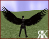 [K] Dark Angel's Wings