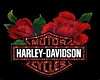 harley radio