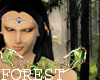 Elven Forest Crown