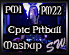 SW Epic Pitbull Mashup