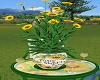 Sunflower Potted Plant