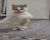 AI Crazy Dance