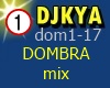 dom1-10