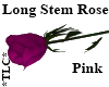 *TLC*Long Stem Rose Pink