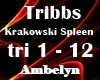 Krakowski Spleen 3W4 Rmx