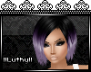 |L| Palila Lilac