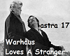 Warhaus - Loves A Strang