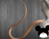 PR~ Rat Tail