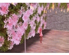 Ambience ~ Flower Wall