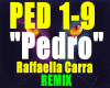 .Pedro-RafaellaCarra/RMX