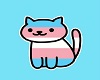 trans pride kitten