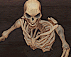 Halloween Skeleton PR