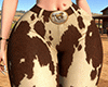 ★ Jeans Cowgirl