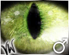 Green Predator (male)