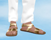 Sandals |gold