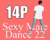 SEXYMALEDANCE 22 14P