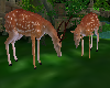 Deer Animated + poses
