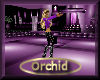 [my]Orchid Dance Floor