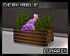 (L: Flower Box