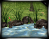 Rocks-n-Grass