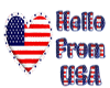 USA welcome  Sticker
