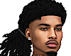 RASTA DREADS