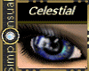 SS EWindows~Celestial