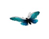 {LS} Butterfly Decor