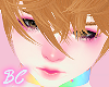 🍓Shiba Inu Puppy Boy