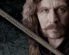 Sirius Black Wand