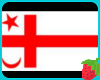 Mi'kmaq Flag