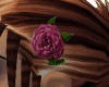 Hot Pink Rose for Hair