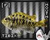 [F] NomNom Bass V2