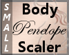 Body Scaler Penelope S