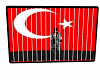 MEHMET ODA RESMI
