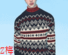 Z梅 wool sweater cp