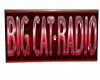 Big cat banner