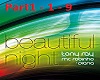 Remix - Beautiful Night