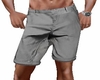 Gray Chino Shorts