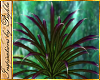 I~Jungle Plume Plant