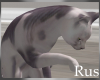 Rus Hairless Cat