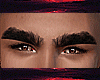 H | Buzz Brows