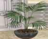 O* Lge  Deco  flr/Plant