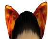 fire cat ears