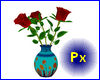 Px 3 roses