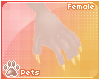 [Pets] Luci | claws