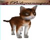 Anns animated cat
