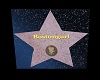 ~LB~HollywoodStar-Bost0n