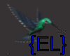 {EL}Hummingbird Swarm