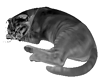 Sleeping Cat Light Grey